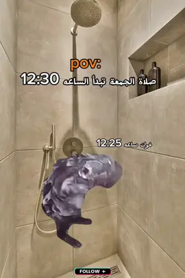 #راكشنات #راكشن #ترند #ليبيا #fyp #foryoupage #ونيس_يضحك #شعب_الصيني_ماله_حل😂😂 