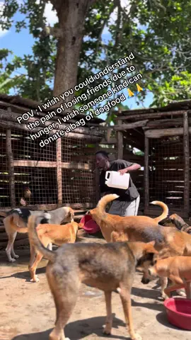 #humanity #loveyou #peopleareawesome #volunteer #fyp @martasch @Elissa Irene McLarty @kate007 
