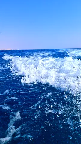 هتفضل في قلبي 🦋💘😇 #هتفضل_في_قلبي  #هيفضل_حبك_معايا #هتفضل_في_قلبي_ياحبيبي_للنهايهـ_♥️✨🦅 #ياكل_اللي_ليا🥰🥰😘 #جوانا_ملاح #اكسبلورexplore #fypviralシ 