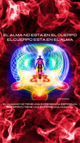 Parafraseando a Teilhard de Chardin: ✨ 