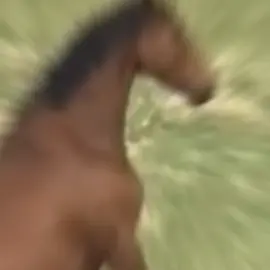#forupage #pourtoii #pourtoi #marant #videodrole #videodrole #pourtoiii #goofy #memestiktok #foruyou #horse #cheval #horsememe #pourtoipage #funnytiktok