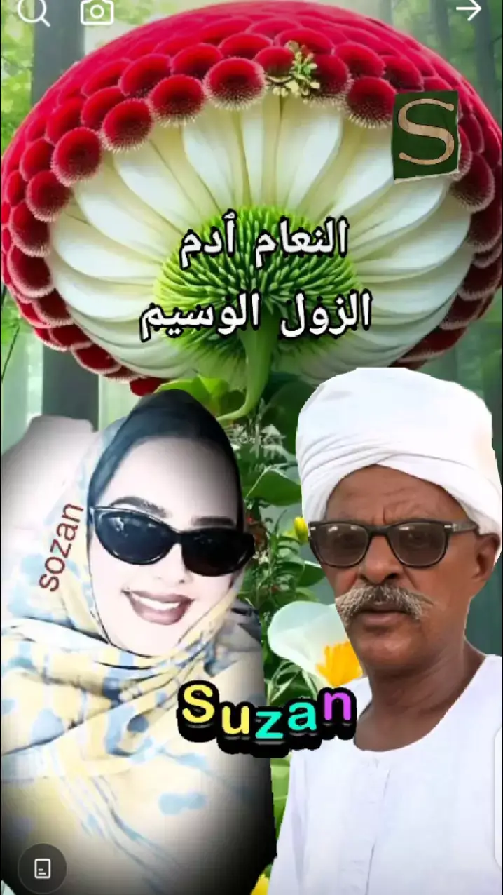 ##الطمبور_صديقنا_وعزنا_وملجأنا🎶🎼