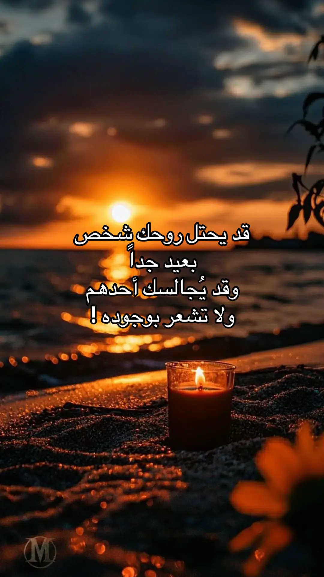 مساءالخير #الشعب_الصيني_ماله_حل  #اكسبلورexplore  #مساء_الحب_والسعاده 