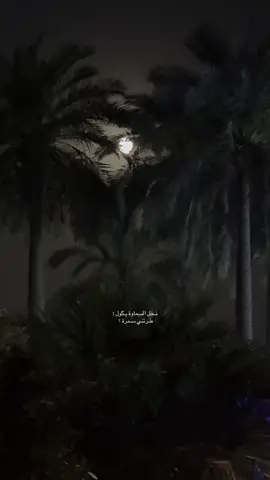 نخل السماوة يگول … طَرتني سمرة ؟  #explore #نخل #السماوة #بغداد #اكسبلو #Sing_Oldies #تيتوك 