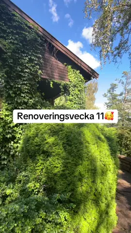 Renovering pågår, men livet pausar inte! Vi kör inte 50/50 rakt av, för mig hade det inneburit för mycket stress att hålla kolla på alla bollar samtidigt😅   #totalrenovering #diyrenovering #DIY #husdrömmar #budgetrenovering #renovering 