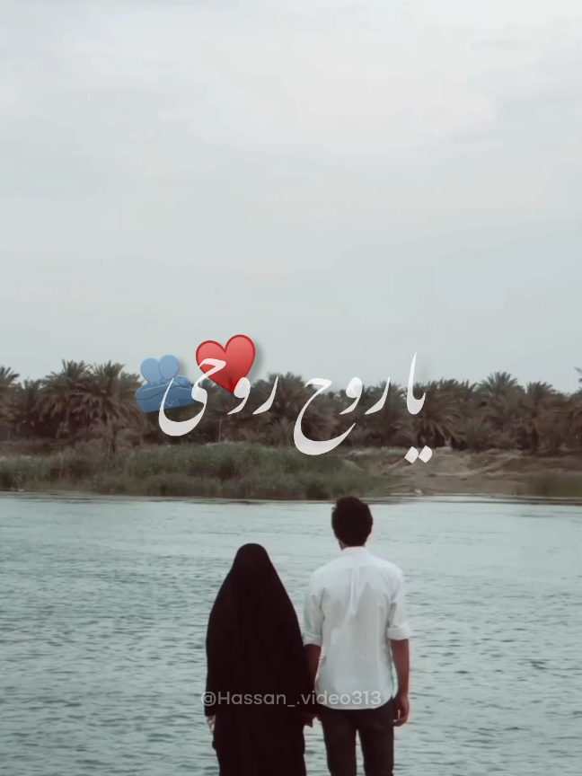 !♥️😭يا روح روحي . . . . . #لبنان #لبنان🇱🇧 #fypシ゚viral #تصاميم #فيديوهات #shialover #fyppppppppppppppppppppppp #حب #الحب #حب_حسيني #explore #couple #شيعة #Love #shia 