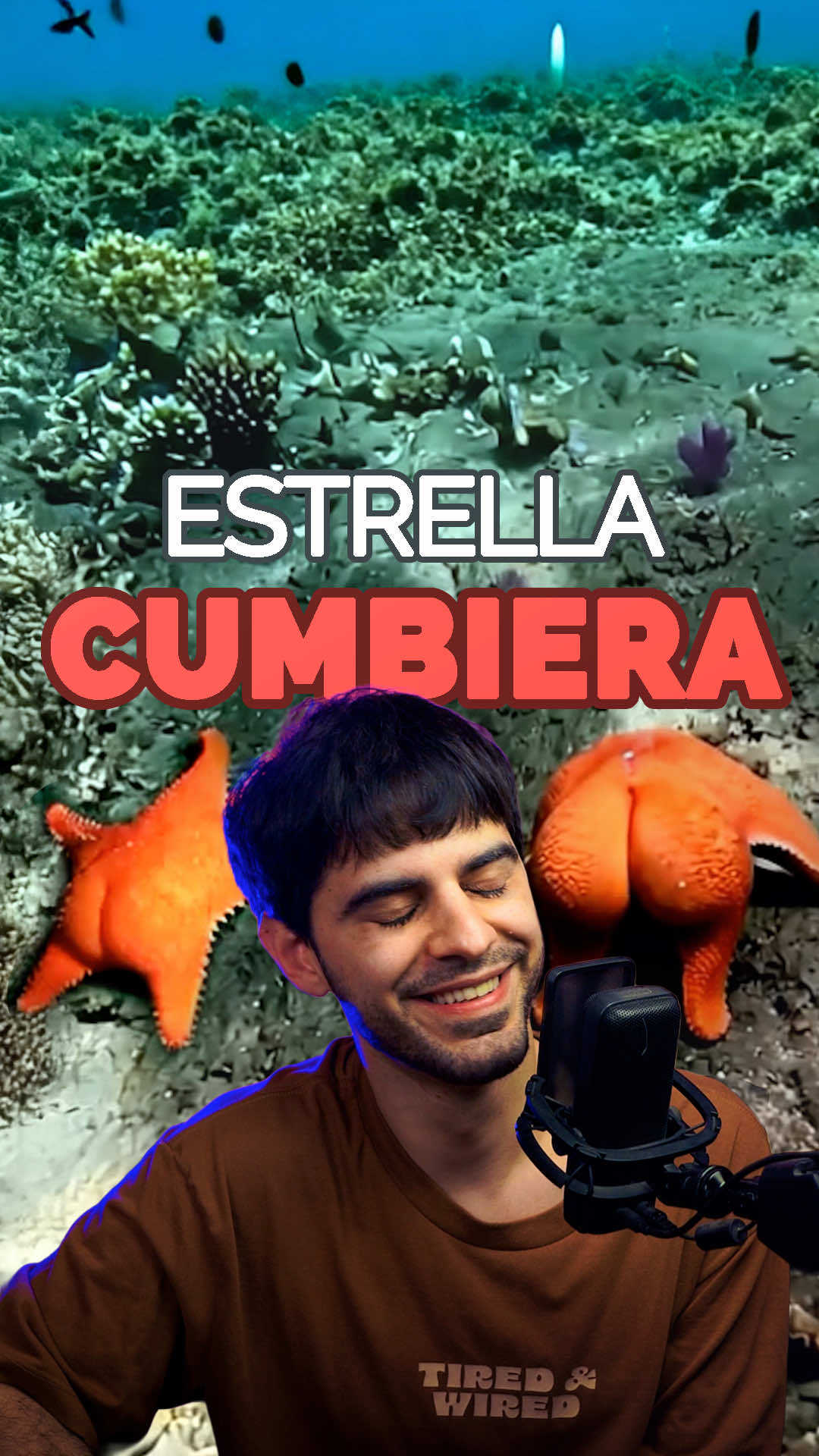 Mirá lo que encontró el Gempa.ar hoy en el fondo del mar! Te muestro paso a paso cómo usar la función “image to video” de Google Flow. 👇🏼 Guardá este tutorial #googleflow #image2video #aiimagevideo #tutorialia #comohacerunvideo #inteligenciaartificial #trendai #gempa #estrellademar 