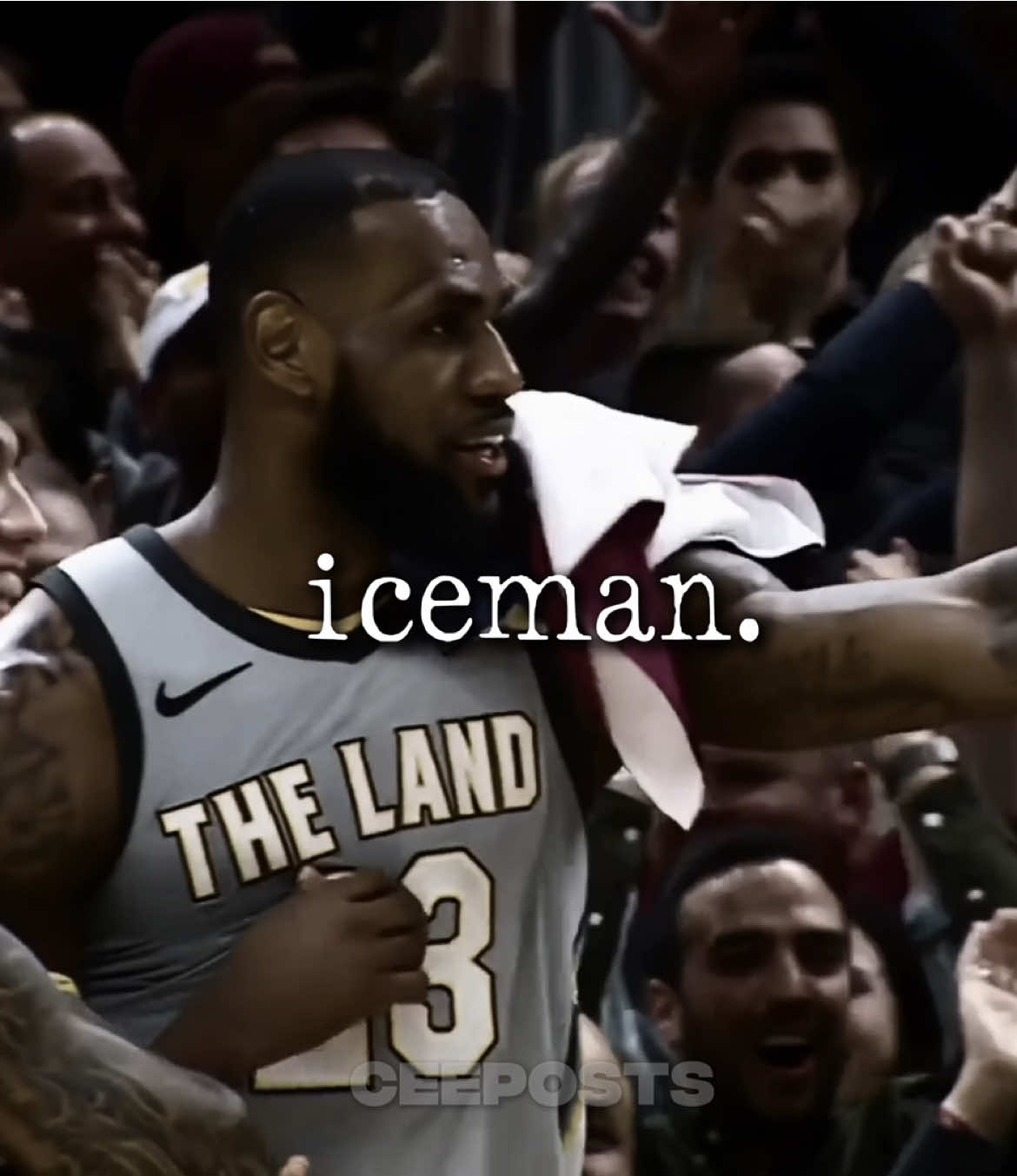 calm down flight #lebronjames #ceeposts #edit #flightreacts #fyp #lebron 