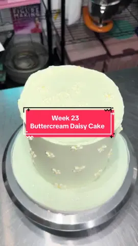Sometimes I spend more time admiring my cakes than I do decorating #cake #cakedecorator #caketok #buttercream #cakedecorating #homebakery