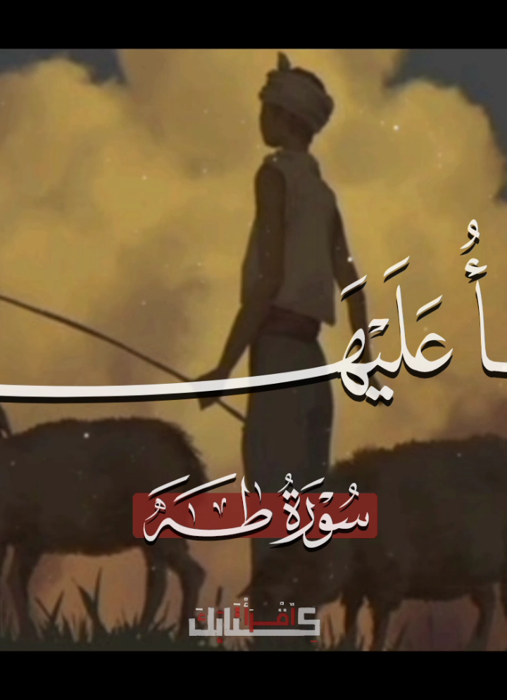 🦩| يا جدع مش كده 🥺🤎🤎🤎 .  .  .  #قران #quran #محمود_الشحات_أنور 