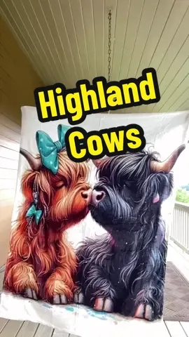 #highlandcows #highlandcow #highlandcowsoftiktok #cows #blankets #blanket #thinblanket #cowlover #cowlovers 