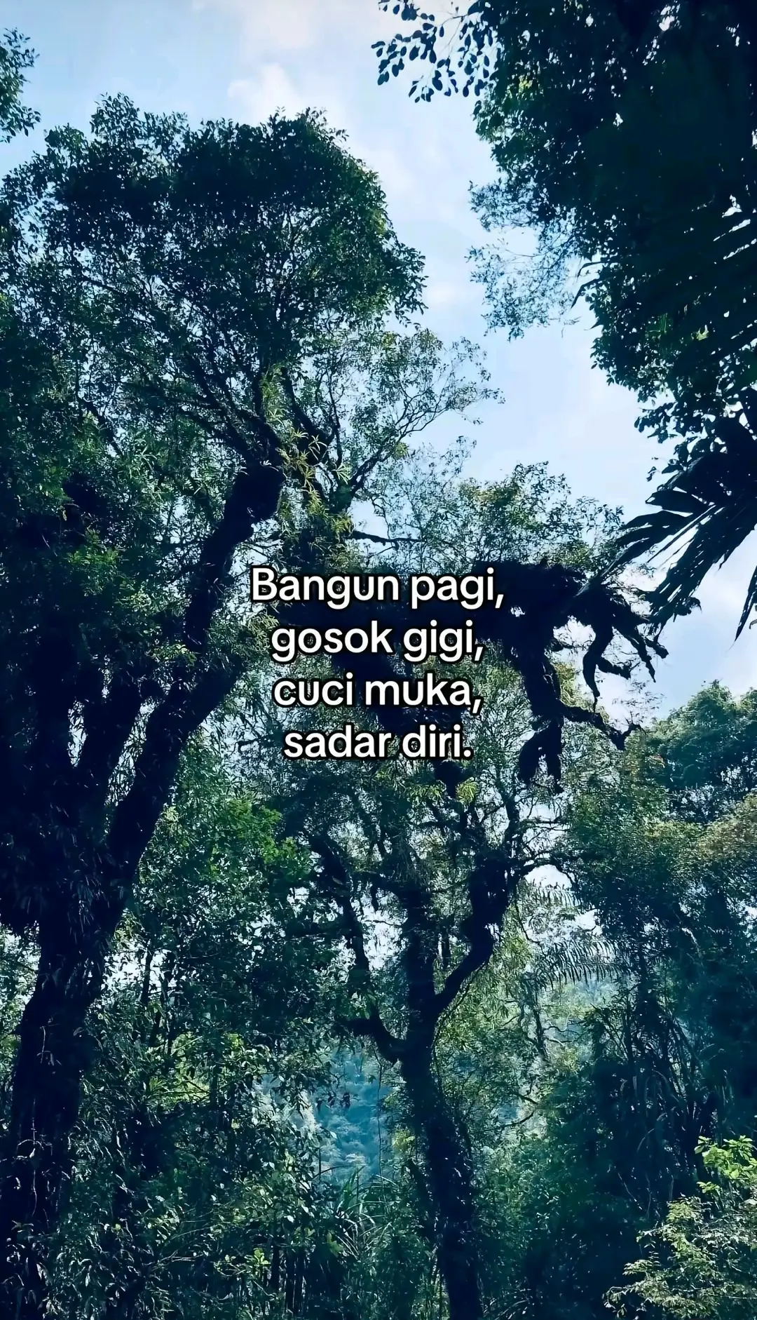 #fyp #fypage #fyppppppppppppppppppppppp #masukberandafyp #mtkinabalu 