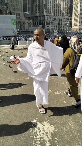#عم ابراهيم  يا ولي النعم  مدد مدد يا الله في السعوديه