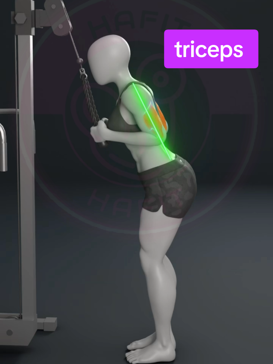 تمرين Triceps Pushdown à la corde (تمرين تمديد الترايسبس بالحبل) هو من أشهر تمارين الترايسبس، ويُستخدم فيه جهاز الكابل مع حبل (rope attachment). ✅ شرح التمرين: العضلة المستهدفة: الرأس الجانبي والطويل والوسيط لعضلة الترايسبس. الهدف: زيادة حجم وقوة الترايسبس. المعدات: جهاز الكابل + حبل. #🇩🇿 #dz #fyp #viral #tricepsworkout #girl #Fitness #gym #motivation #