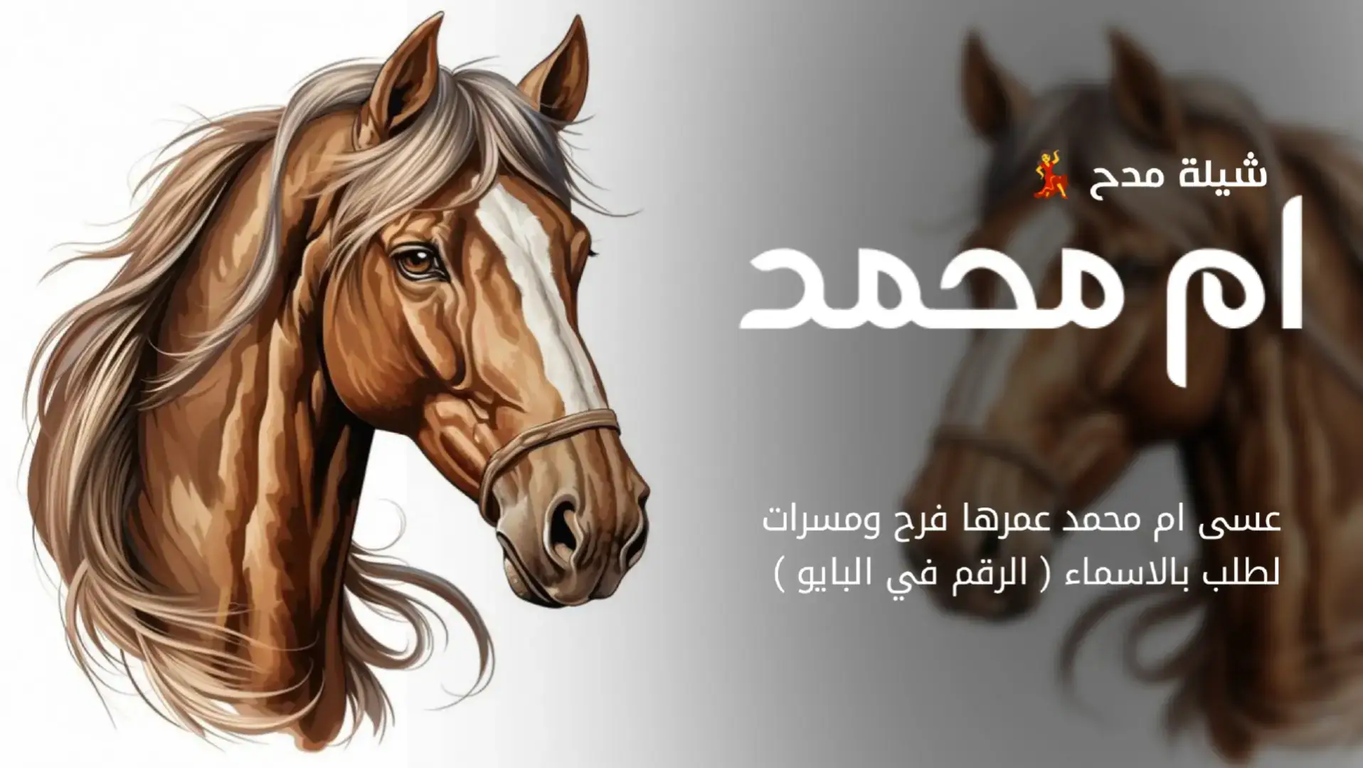 #شيلة_ام_محمد #شيلة_ترحيب_غالي  #ارحبو_ثم_ارحبو #شيلات_تراحيب_جديد_طرب  #شيلات_استقبال #الضيوف_شيلات