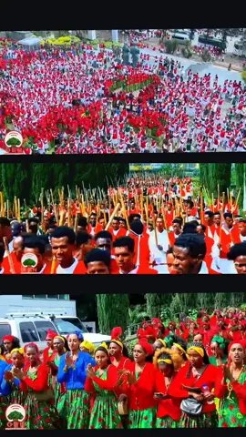#qeerroooromiyajirtuu❤️💚❤️✔️ #salaaleetoktoki #oro #salaaleekoo🌍❤️ 