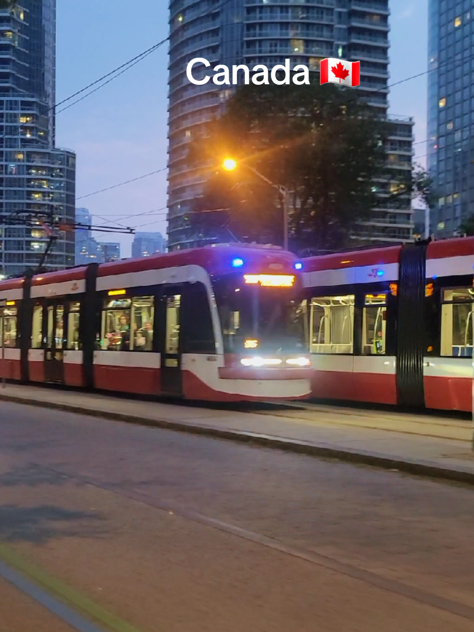 Together we are stronger.  Love your life. Respect eachater.  #canada_life🇨🇦 #toronto #creatorsearchinsight #pageforyou #explore #inspire #canadatravel #foryou 