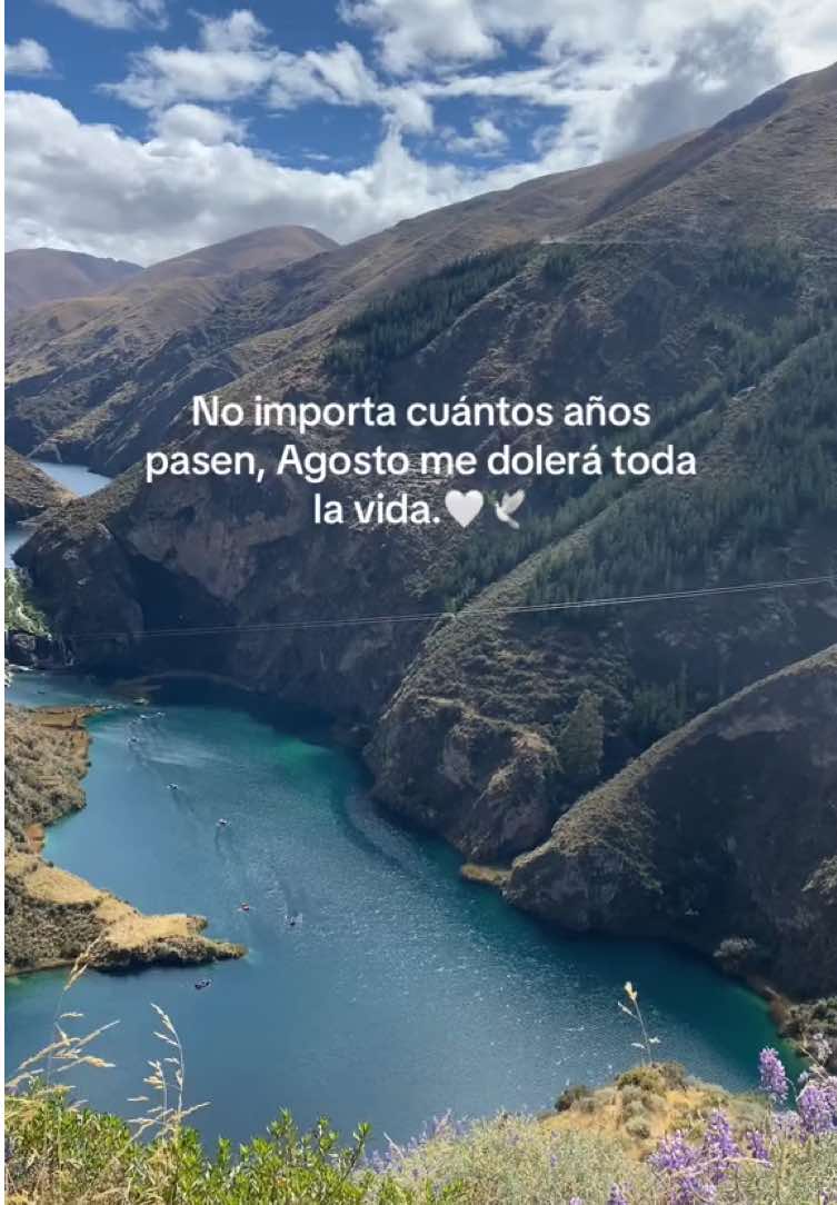 #unabrazohastaelcielo #🕊️🕊️🕊️  Agosto me dolerá toda la vida 🤍