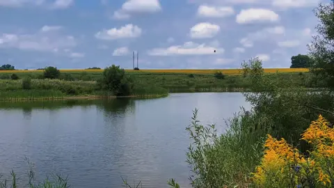 наслаждаемся последними крупицами лета #fyp #recommendations #nature #вайблета #ностальгия 
