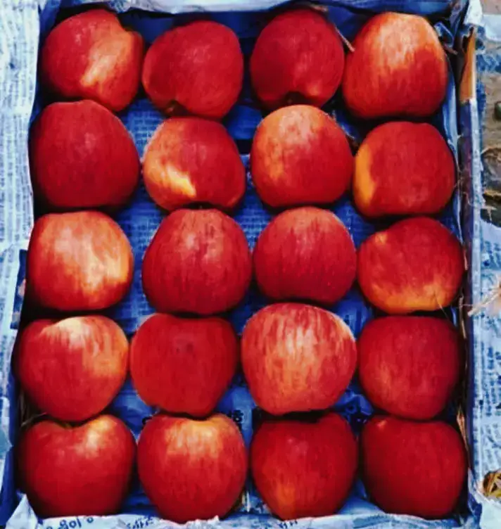 Waziristan apple 🍎🍏 #creatorsearchinsights #my #video #viral #plz #sofa #hashtag @Irfan wazir🇧🇫 @shaheen wazir❤️❤️❤️ @I-R-F-A-N_W-A-Z-I-R 