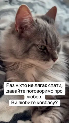 Надобраніч #кітблогер #гуморукраїнською #жартиукраїнською #філософіяжиття #ковбаса 
