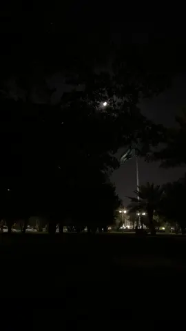 #عشقت -الليل 🌙#❤️ 