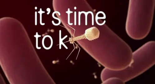 this cell about to.. BLOW! #biology #bio #apbio #apbiology #science #cell #mitochondria #rna #dna #transcription #translation #highschool #classof2026 #classof2027 #edit #neuronerd #sciencetok #fyp #viral #apscores #blow #kesha #nopole #nopoleremix #college #highschool #lyticcycle #phd #research #apchem #undergrad #collegeadmissions #academic #academicvalidation #academicweapon #apbiosurvivor #classof2028 #classof2029 #lysogeniccycle #virus #bacteriophage #music #lyrics 