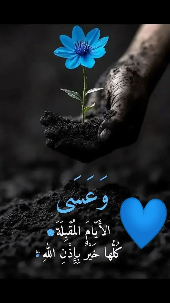 # يااارب⁦🤲🏻⁩💙#