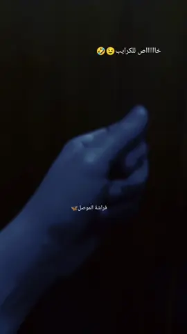 #فراشةالموصل #foryoupag #foruyou #fypシ #fyp #fy #y 