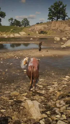 SIMULATE SURVIVAL SKILL DAILY FOR FANS  #survival #animals #foryou #foryoupage #viral 