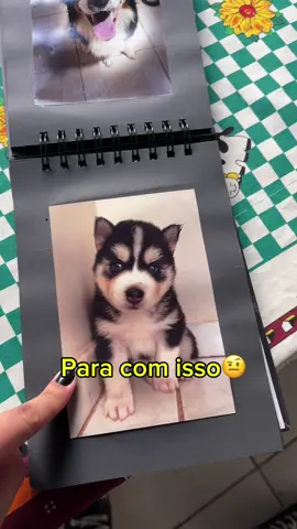 TBT #tbt #funny #fofo #fyp #fyyyyyyyyyyyyyyyy #viral #explore #husky #fy #husky #petlover #cachorro #dog 