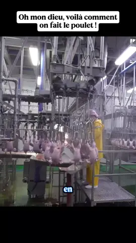 #usine #alimentation 