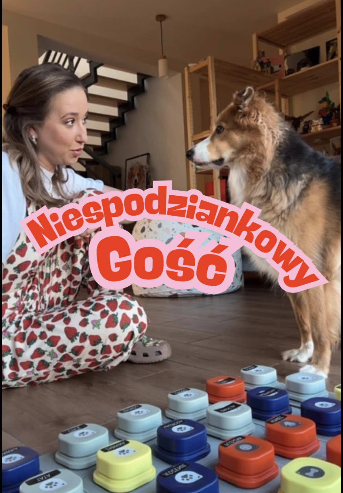 No takiego gościa Salto się chyba nie spodziewał 😅🫣 Jak widzicie mega się stęsknił za ciocią Dżoaną - jestem ciekawa czy ktoś pamięta ich duet ? 🫶🏻 Psiak jak już kogoś raz polubi, to później tej osoby nie zapomina… #salto #gadającypies #niespodziankowygość #ciociadżoana #saltonat 