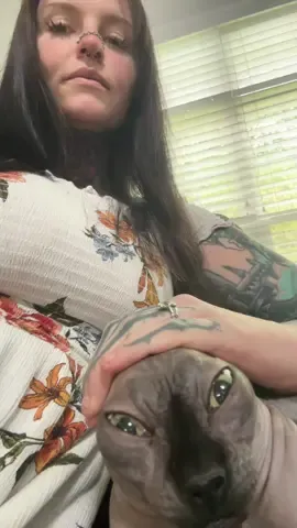 #labubu #24k #24kgoldlabubu #sphynx #sphynxcat #catsoftiktok #funny 