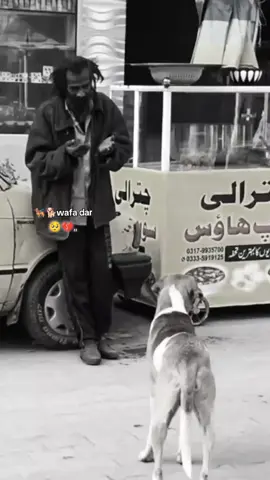 #wafa dar 🐕🐕‍🦺#🥺💔#ufff #🥺💔 #😓🖐️ 