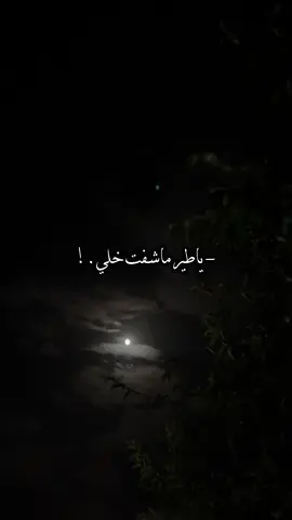 ياطير ماشفت خلي…!#بدون_موسيقى #تصميمي #foryou #fyp 