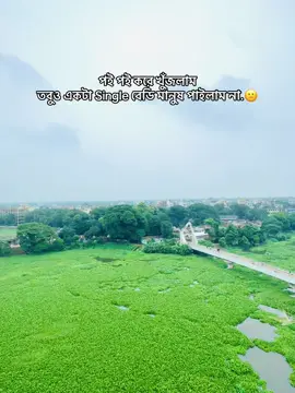 পই পই করে খুঁজলাম তবুও একটা Single বেডি মানুষ পাইলাম না #foryou #1millionviews 
