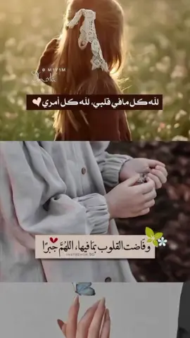 #*اللهم اجعل لي طريقا نحو كل ما أحب وراحة في كل ما انتظر ♥️♥️♥️🤍🦋.*#تركيا_اسطنبول_العراق_سوريا_مصر 