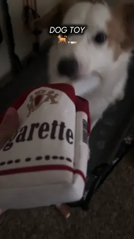 Cigarettes for dogs ✨🤣 #dogtoy ##cigarette##olebrandselect##freesample##explorepage