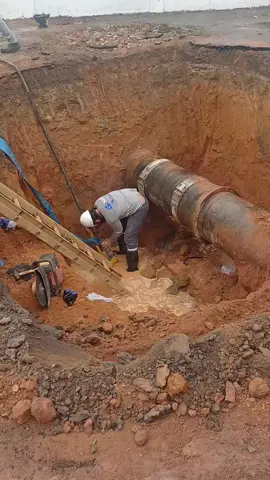 #sejacriador 