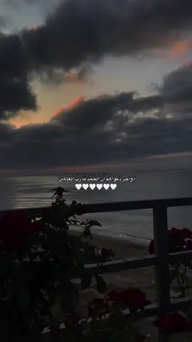 الحمدلله 🤍. #مالي_خلق_احط_هاشتاقات 
