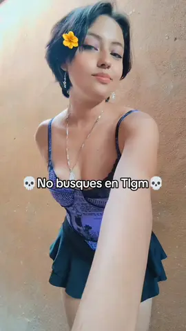 Actualizado 🙊