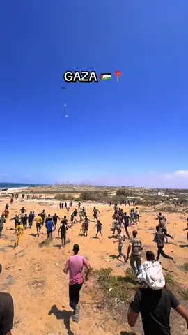 Will you visit Gaza after the war? Donation link for my family🥺🙏🏼♥️  #creatorsearchinsights #palestine #gaza #foryoupage #trending #غزة #foryou #explore #indonesia #فلسطين #pakistan #philippines #viral #freepalestine 