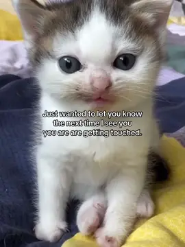 🤭 #fyp #relateable #couple #Love #cattok #boyfriend #girlfriend #catmeme #joke #crush #meme #catsoftiktok #rizz 