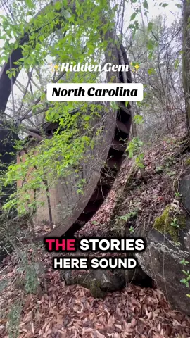 Ever heard of Moravian Falls, NC? It’s one of the most magical hidden gems I’ve found—complete with angel sightings, glamping, waterfalls, and mountain sunsets.✨🏕️ Follow me for more North Carolina adventures and head to NorthCarolinaTraveler.com to search “Moravian Falls” for the full guide + 15% off your stay at Growing Faith Farms! 🌄🔥 #MoravianFalls #NCmountains #HiddenGem #GlampingLife #NCTravel #NorthCarolinaTraveler #MountainVibes #WeekendGetaway #growingfaithfarms @GrowingFaithFarms 