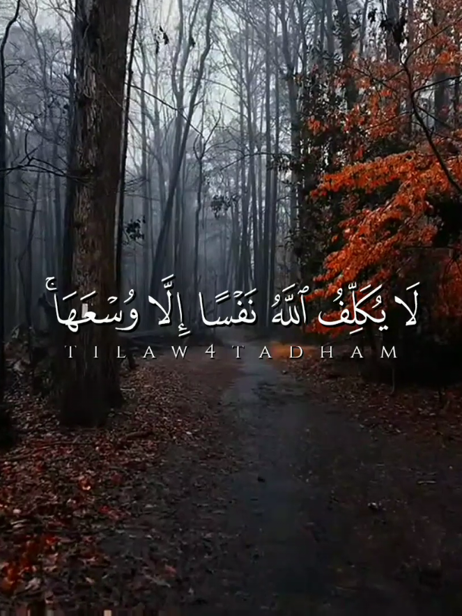قال رسول الله صلَّ الله عليه وسلم : 