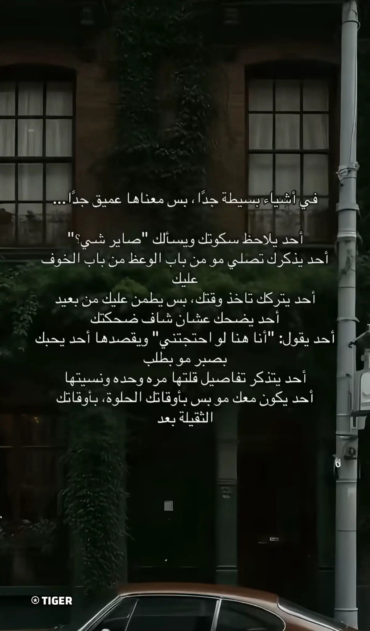 #ممتنه_لكل_روح_أسعدتني #اكسبلور #fyp #ترند #السعودية #✨#♥️.