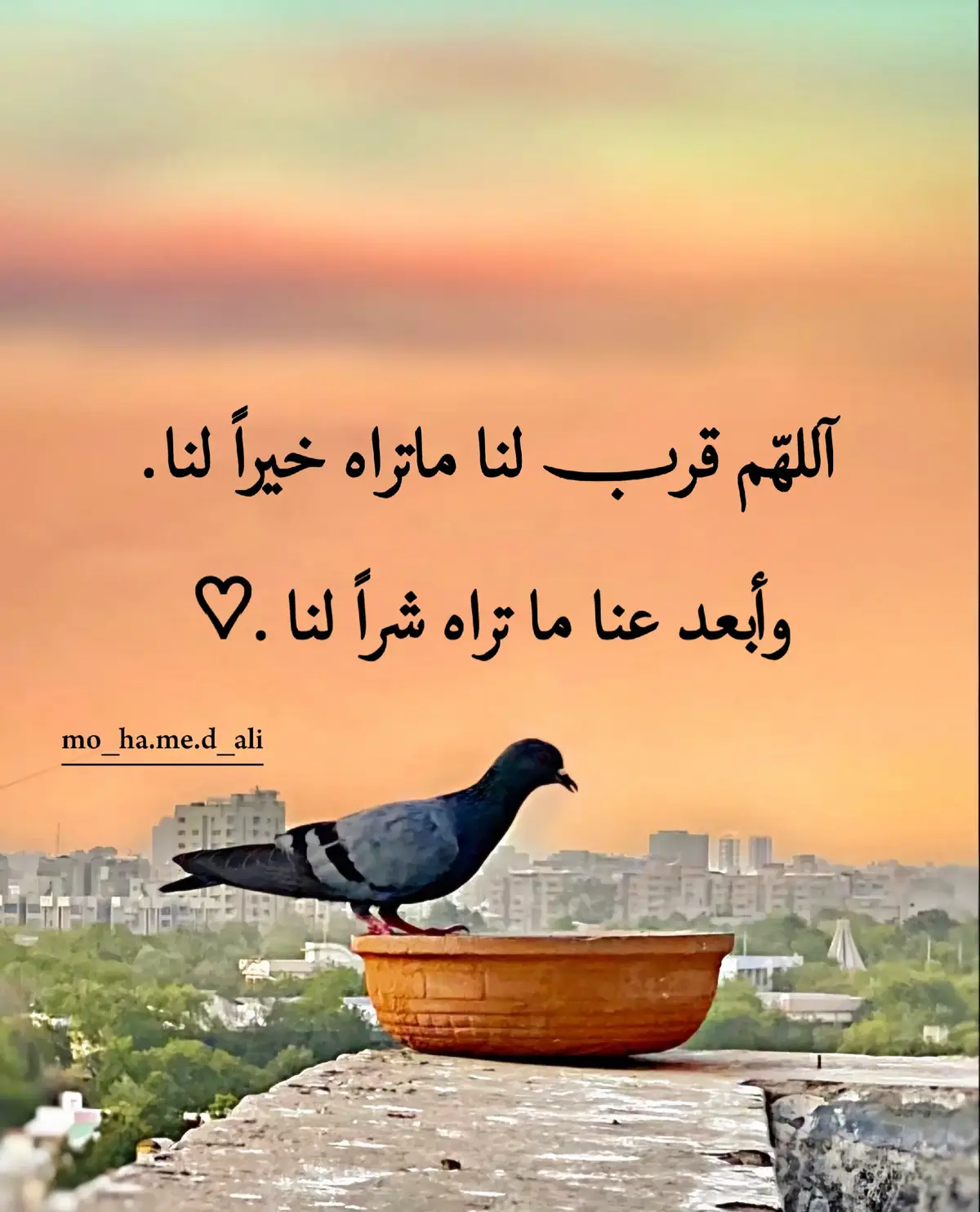 #يارب❤️ #اكسبلور #❤️ 