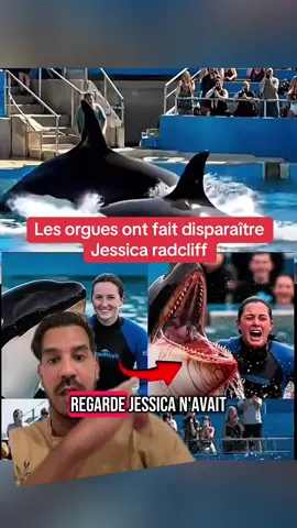 L histoire de Jessica la soigneuse d Orques d un parc aquatique #histoirevrai #peur #animauxsauvage #devinelapersonne 
