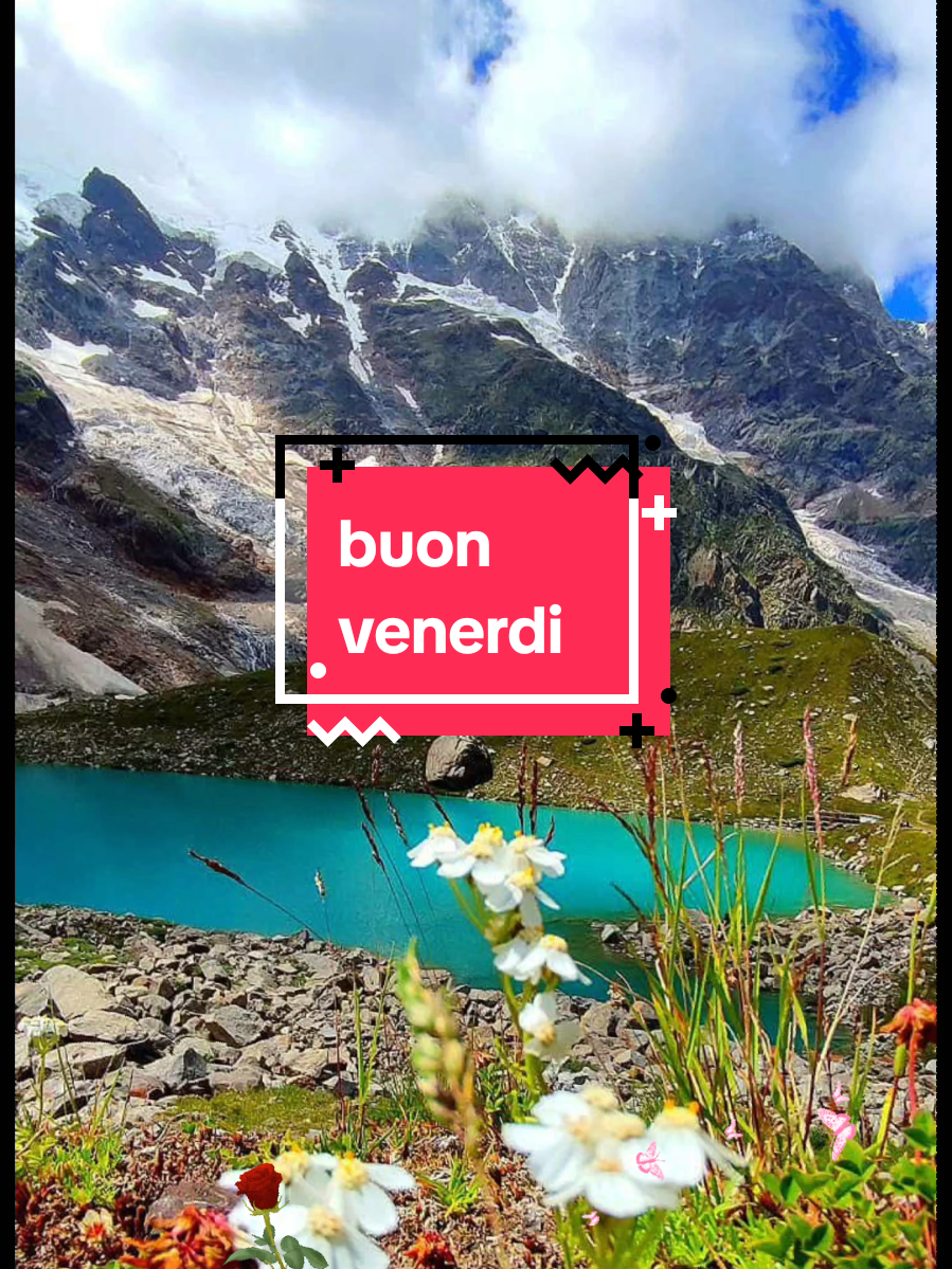 #buonvenerdi #buongiorno #buonagiornata 